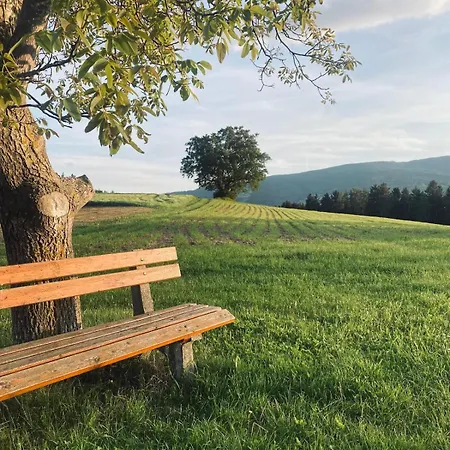 Ferienzimmer Paunger Hotel 3*