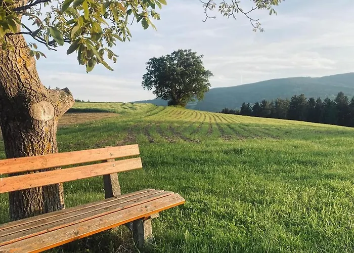 Ferienzimmer Paunger 酒店 3*