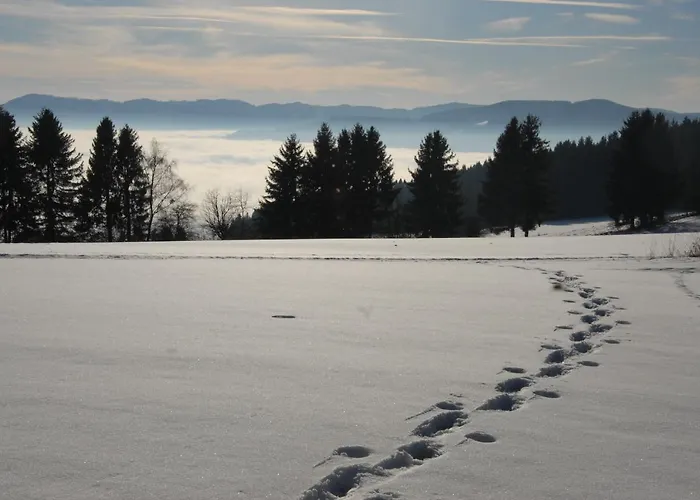 Ferienzimmer Paunger 3*